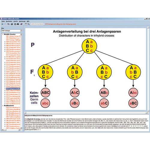 Mendelsche Gesetze, Modifikation und Mutation - W13521 03 MenDelsche Gesetze MoDifikation UnD Mutation