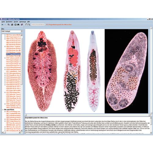 Parasiten Und Krankheiten Des Menschen Interaktive Cd Rom 1004304 W13535 Lieder Cd154 En Biologie Software 3b Scientific